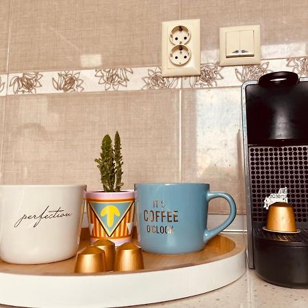 Apartament Timisoaraアパートメント エクステリア 写真