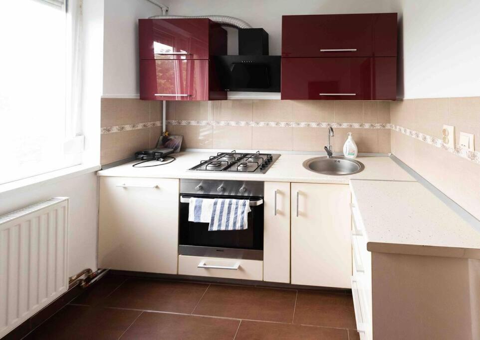 Apartament Timisoaraアパートメント エクステリア 写真