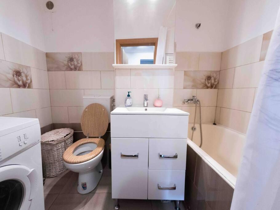 Apartament Timisoaraアパートメント エクステリア 写真
