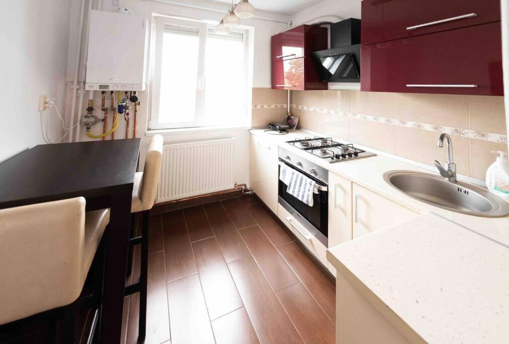 Apartament Timisoaraアパートメント エクステリア 写真